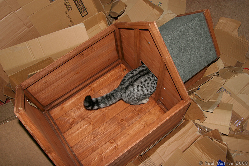 IMG 4907 Exploring the cat shed